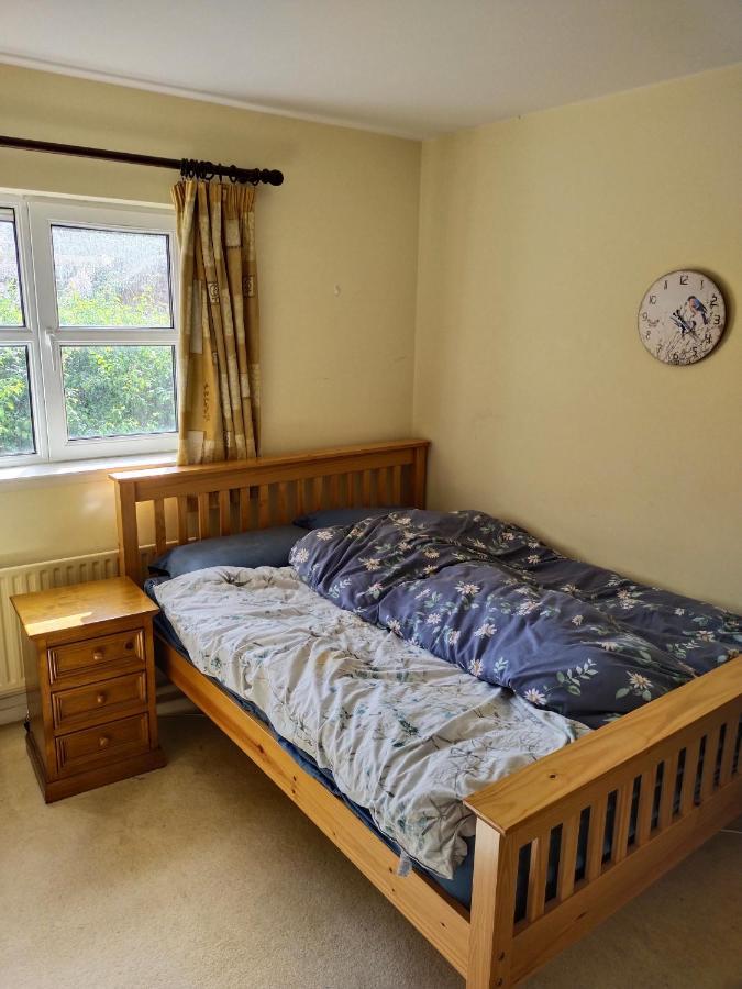 Crescent Apartments Homestay Cork Luaran gambar